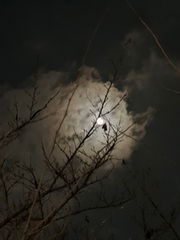 (완) 애 엄마가 집을 나갔어요 (수인물) (외전은 회지에서)