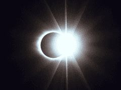 [중혁독자/제천독자]당신의 별들에게 투표하세요! - 5