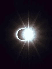 당신의 별들에게 투표하세요!