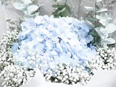 [오이카게(논컾)] 그의 졸업식