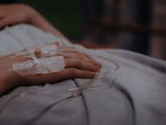 자유는 굴레 안으로