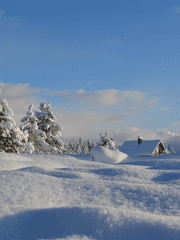 안녕하세요, 겨울.