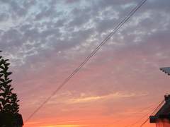 마티레이 커미션