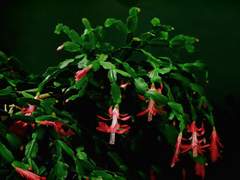 사랑은 정말 골칫거리(2)