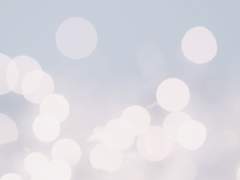 눈 아래서 틔운 꽃