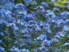 01. 비밀을 나눈다는 것은.