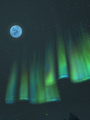 파이널판타지14