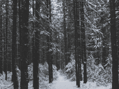 [gl]여름 눈 속의 페어리테일(1)