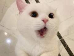 [이민형] 출신은 스트릿 1