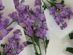 조금 더 폭넓게.