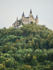 그 숲 속에는 마왕이 산다