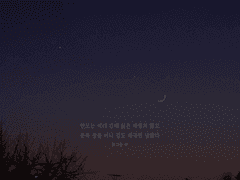 [데못죽 / 꽃그믐] 배경화면 | 헤더 배포