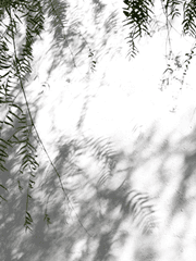 돌아가 볼까 제자리로.