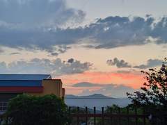 마지막 잎새를 그린 화가