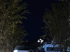 차라리 버림 받는 게