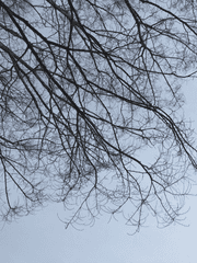 나는요 단편 모음