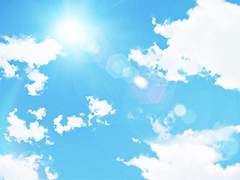 𝑀𝑎𝑟𝑘 𝐿𝑒𝑏𝑒𝑛ㅣ하늘 아래 코카투