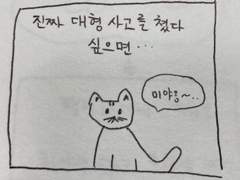 고양이 만화 세번째