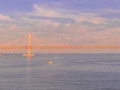 오늘같은 날이면