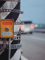 횡단보도 위에서