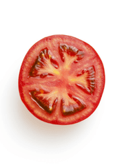 아무도 망한 사랑을 보고 싶어 하지 않았어