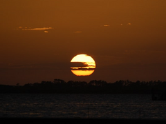 뒤틀린 당신의 존재는 생명력.