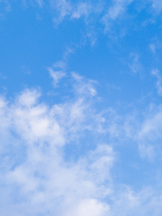 어찌되었든 형제입니다