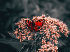 차마 말하지 못할 감정이 있느니