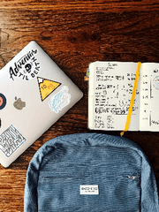 학교를 안 갔어