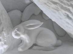 혹시 축제 중인가요?