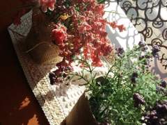 강봄, 17세, 여성