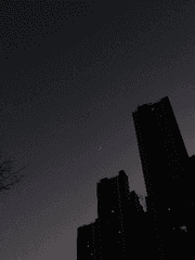 보고 듣고 작사