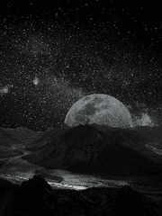 이화월 [梨花月]