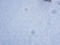 회피커 공개 프로필