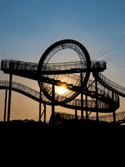 해바라기를 향해 달리는 롤러코스터