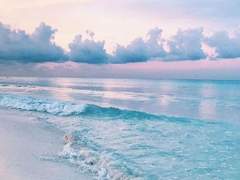 I will dive into you