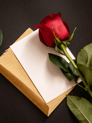 오요커_다니카 힐리