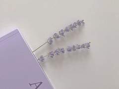 지바이요네의 아이