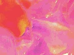 [브래네로] 열한 번째 조각