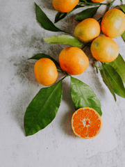 제주 감귤 히어로!