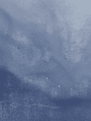 처절해야 사랑이래