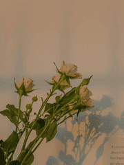 [공지] 책장 한편