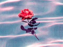 그는 헤프다의 정의를 알까