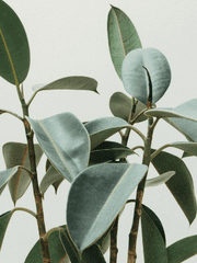 [주술회전] 퇴마고전의 그놈들