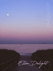 아침 하늘의 작은 별에게