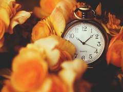 Chloe Winbel / XX / 종교 / 혼혈