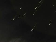 날 살려낸 죗값은 영속적인 사랑으로 치루세요