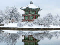 빛을 지나 당신의 곁에