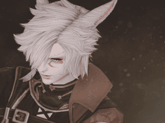 보라색언약자구함