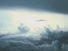 불모지에 피어난 꽃을 우리는 희망이라 부른다.